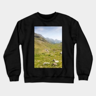 Andorra Crewneck Sweatshirt